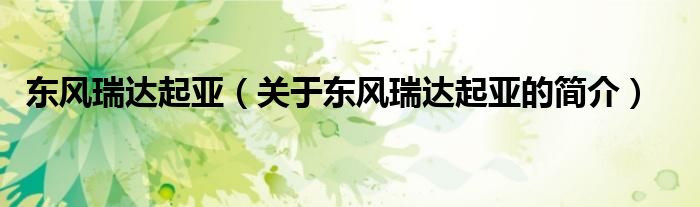 東風(fēng)瑞達(dá)起亞（關(guān)于東風(fēng)瑞達(dá)起亞的簡(jiǎn)介）