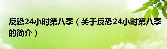 反恐24小時第八季（關(guān)于反恐24小時第八季的簡介）