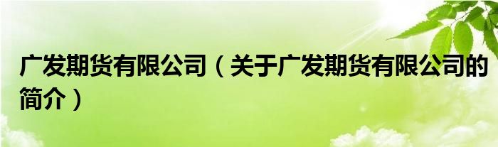 廣發(fā)期貨有限公司（關(guān)于廣發(fā)期貨有限公司的簡(jiǎn)介）