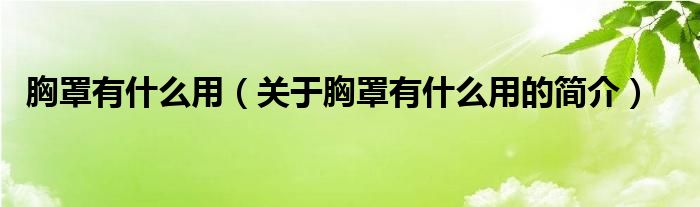 胸罩有什么用（關于胸罩有什么用的簡介）