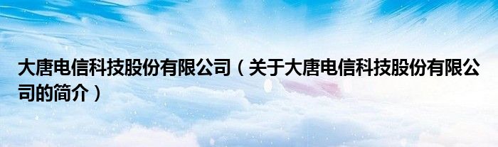 大唐電信科技股份有限公司（關于大唐電信科技股份有限公司的簡介）