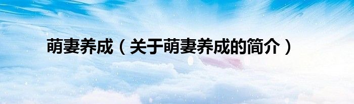 萌妻養(yǎng)成（關于萌妻養(yǎng)成的簡介）