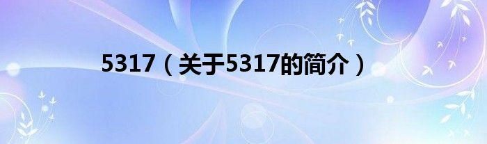 5317（關(guān)于5317的簡(jiǎn)介）