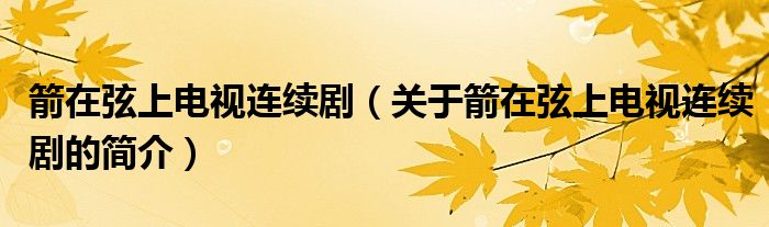 箭在弦上電視連續(xù)?。P(guān)于箭在弦上電視連續(xù)劇的簡介）