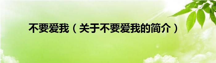 不要愛(ài)我（關(guān)于不要愛(ài)我的簡(jiǎn)介）