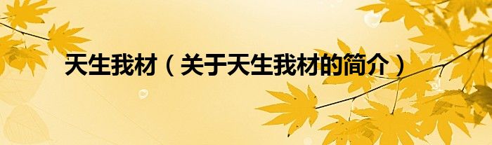 天生我材（關(guān)于天生我材的簡(jiǎn)介）