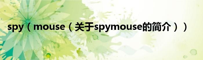 spy（mouse（關于spymouse的簡介））