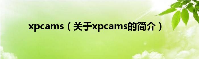 xpcams（關(guān)于xpcams的簡介）