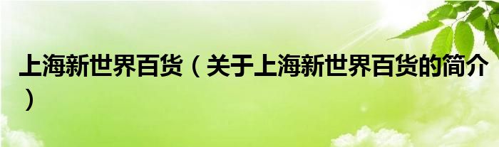 上海新世界百貨（關(guān)于上海新世界百貨的簡介）