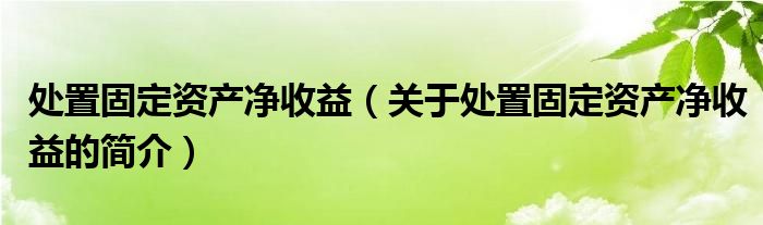 處置固定資產(chǎn)凈收益（關(guān)于處置固定資產(chǎn)凈收益的簡介）