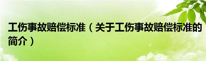 工傷事故賠償標(biāo)準(zhǔn)（關(guān)于工傷事故賠償標(biāo)準(zhǔn)的簡介）