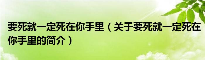 要死就一定死在你手里（關(guān)于要死就一定死在你手里的簡介）