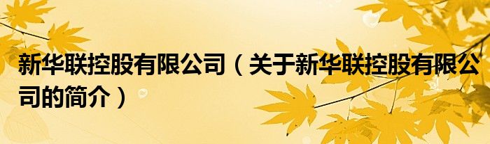 新華聯(lián)控股有限公司（關(guān)于新華聯(lián)控股有限公司的簡(jiǎn)介）