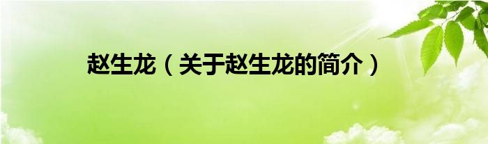 趙生龍（關(guān)于趙生龍的簡(jiǎn)介）