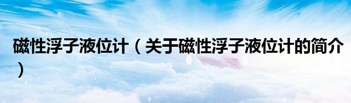 磁性浮子液位計（關(guān)于磁性浮子液位計的簡介）