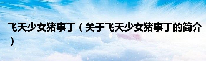 飛天少女豬事丁（關(guān)于飛天少女豬事丁的簡(jiǎn)介）