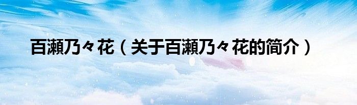 百瀬乃々花（關(guān)于百瀬乃々花的簡(jiǎn)介）