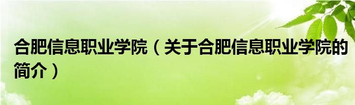 合肥信息職業(yè)學(xué)院（關(guān)于合肥信息職業(yè)學(xué)院的簡介）