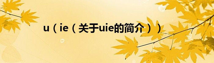 u（ie（關(guān)于uie的簡介））