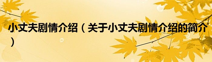 小丈夫劇情介紹（關(guān)于小丈夫劇情介紹的簡(jiǎn)介）