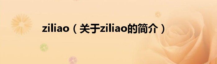 ziliao（關(guān)于ziliao的簡(jiǎn)介）