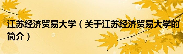 江蘇經(jīng)濟貿(mào)易大學(xué)（關(guān)于江蘇經(jīng)濟貿(mào)易大學(xué)的簡介）