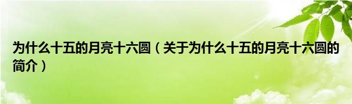 為什么十五的月亮十六圓（關(guān)于為什么十五的月亮十六圓的簡(jiǎn)介）