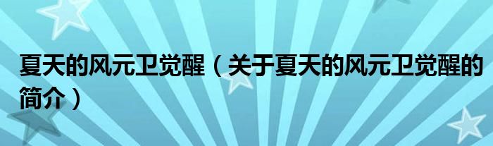 夏天的風(fēng)元衛(wèi)覺醒（關(guān)于夏天的風(fēng)元衛(wèi)覺醒的簡(jiǎn)介）