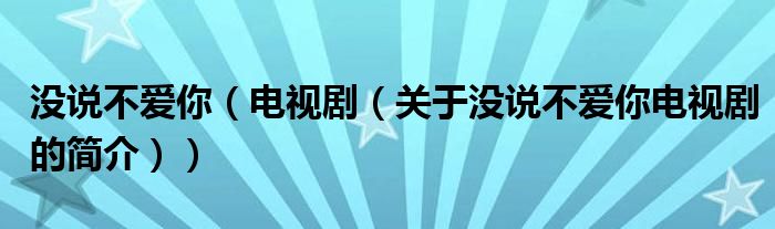 沒(méi)說(shuō)不愛(ài)你（電視?。P(guān)于沒(méi)說(shuō)不愛(ài)你電視劇的簡(jiǎn)介））