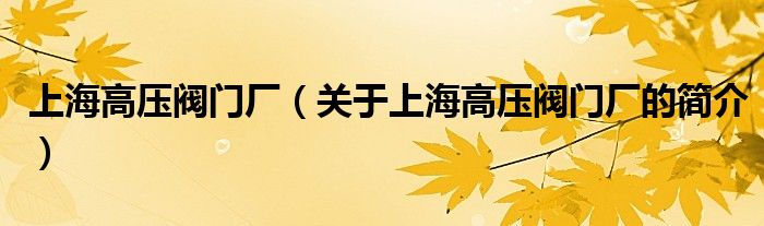 上海高壓閥門廠（關(guān)于上海高壓閥門廠的簡介）