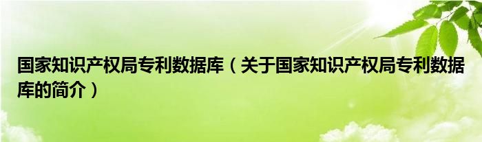 國(guó)家知識(shí)產(chǎn)權(quán)局專利數(shù)據(jù)庫(kù)（關(guān)于國(guó)家知識(shí)產(chǎn)權(quán)局專利數(shù)據(jù)庫(kù)的簡(jiǎn)介）