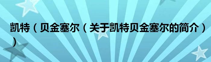 凱特（貝金塞爾（關(guān)于凱特貝金塞爾的簡介））