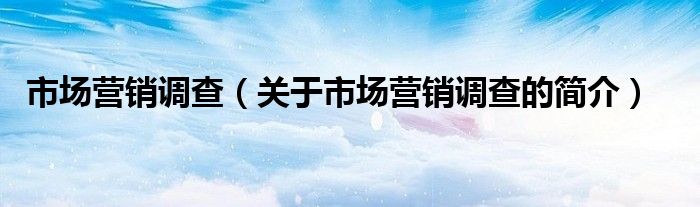 市場營銷調查（關于市場營銷調查的簡介）