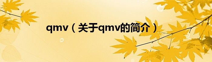 qmv（關(guān)于qmv的簡介）