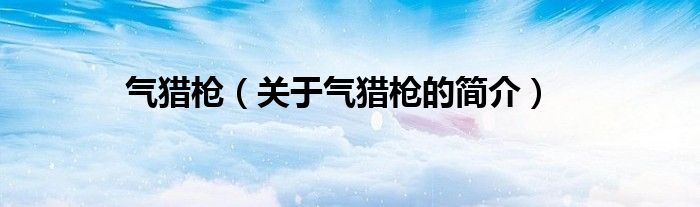 氣獵槍?zhuān)P(guān)于氣獵槍的簡(jiǎn)介）