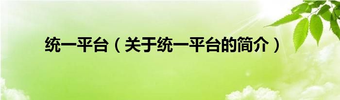 統(tǒng)一平臺（關于統(tǒng)一平臺的簡介）