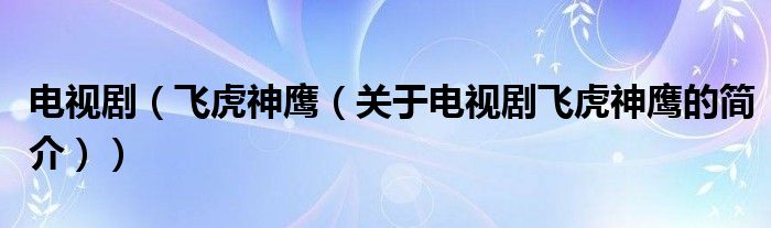 電視?。w虎神鷹（關于電視劇飛虎神鷹的簡介））