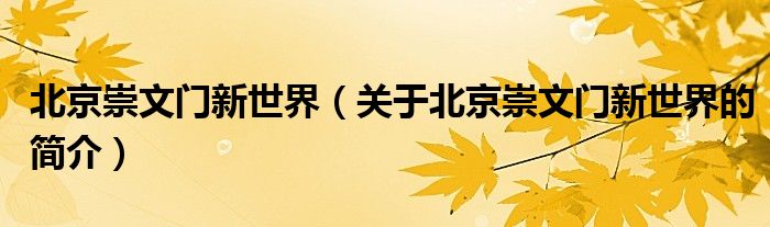 北京崇文門(mén)新世界（關(guān)于北京崇文門(mén)新世界的簡(jiǎn)介）