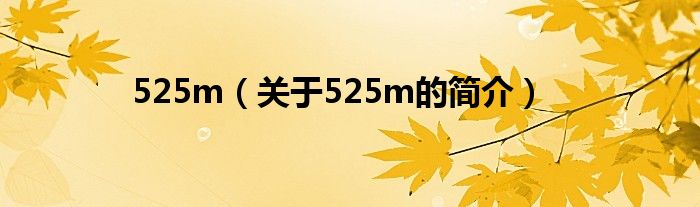 525m（關(guān)于525m的簡介）