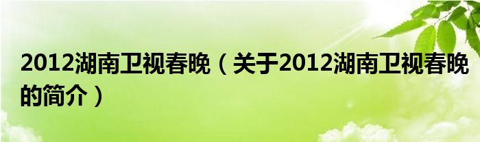 2012湖南衛(wèi)視春晚（關(guān)于2012湖南衛(wèi)視春晚的簡(jiǎn)介）