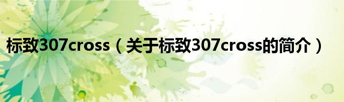 標致307cross（關(guān)于標致307cross的簡介）