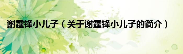 謝霆鋒小兒子（關(guān)于謝霆鋒小兒子的簡(jiǎn)介）