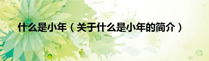 什么是小年（關(guān)于什么是小年的簡(jiǎn)介）