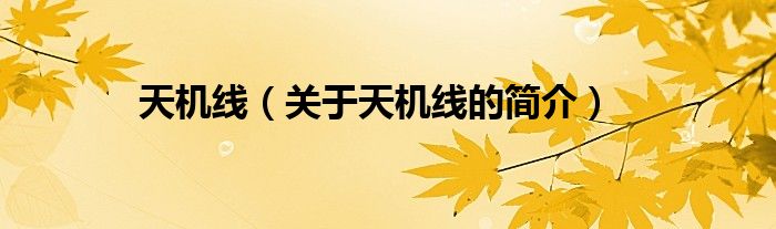 天機(jī)線（關(guān)于天機(jī)線的簡(jiǎn)介）