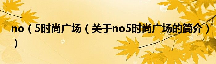 no（5時尚廣場（關(guān)于no5時尚廣場的簡介））