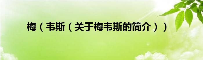 梅（韋斯（關(guān)于梅韋斯的簡(jiǎn)介））