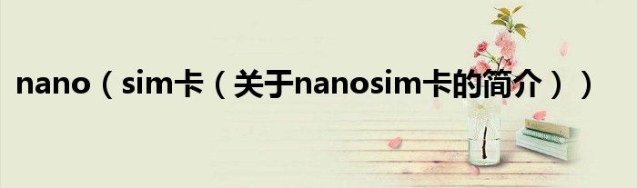 nano（sim卡（關(guān)于nanosim卡的簡(jiǎn)介））