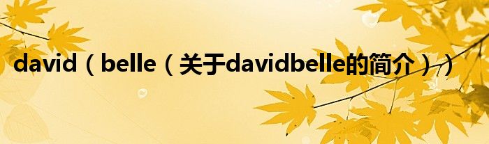 david（belle（關(guān)于davidbelle的簡介））