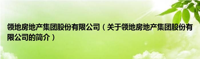 領(lǐng)地房地產(chǎn)集團(tuán)股份有限公司（關(guān)于領(lǐng)地房地產(chǎn)集團(tuán)股份有限公司的簡介）