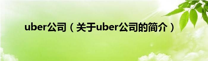 uber公司（關于uber公司的簡介）